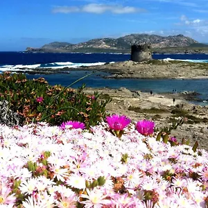 Affittacamere Velalatina, Stintino